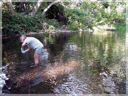 City of Chico Surface Water Sampling