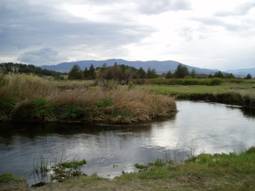 The Shasta River forms the western boundary of Nelson Ranch in Siskiyou County