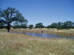 Stone Ridge Ranch in north Chico